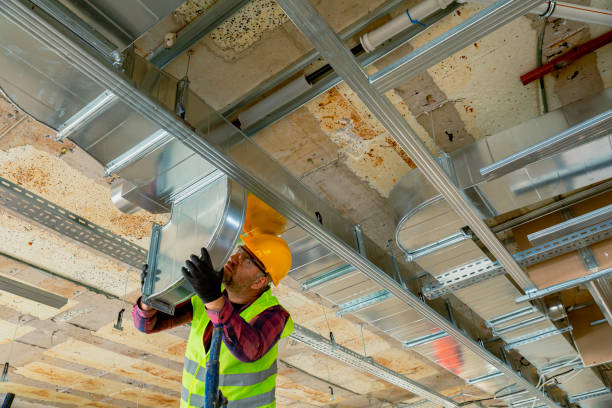 Best HVAC Tune-Up Services  in Schuylkill Haven, PA